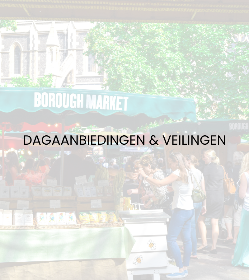 DAGAANBIEDINGEN HOOVER
